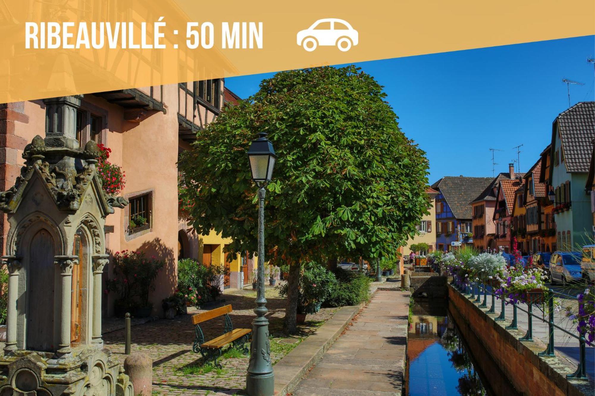 Lit Rond Tres Grand Et Confortable - Garage Possible Ou Parking Gratuit Rue - Gare 2 Min Et Ville 4 Min En Tram - Ciel Etoile - Netflix Videoprojecteur - Luxe Et Evasion 斯特拉斯堡 外观 照片