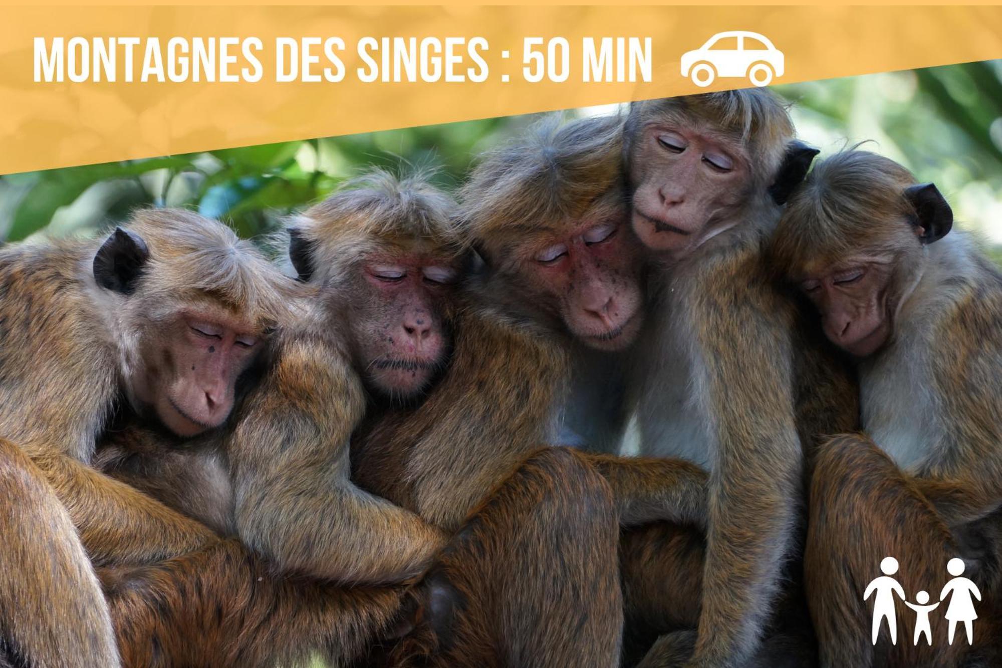 Lit Rond Tres Grand Et Confortable - Garage Possible Ou Parking Gratuit Rue - Gare 2 Min Et Ville 4 Min En Tram - Ciel Etoile - Netflix Videoprojecteur - Luxe Et Evasion 斯特拉斯堡 外观 照片