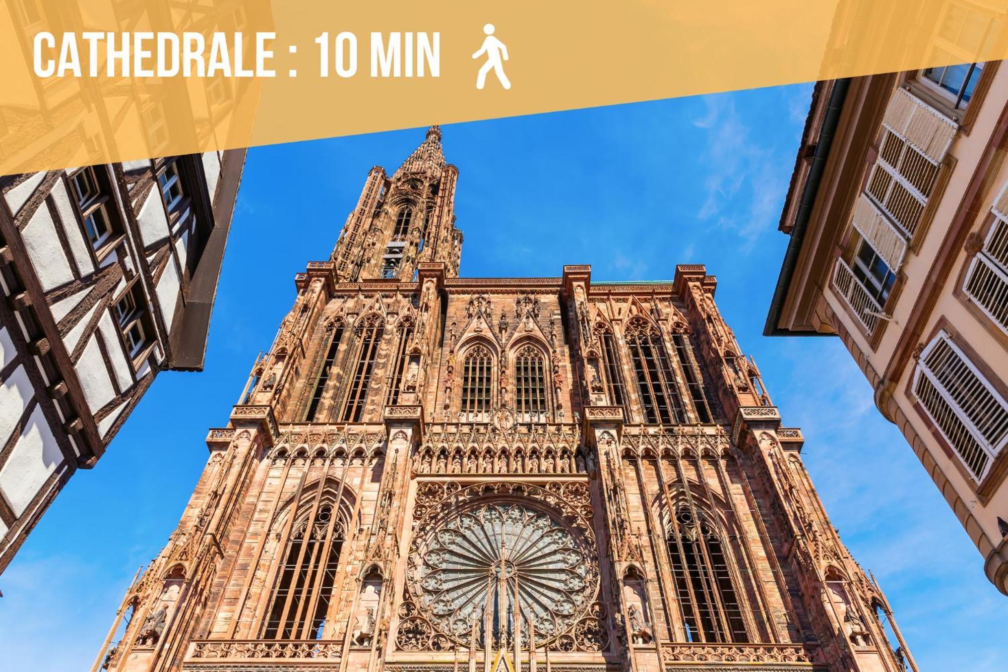 Lit Rond Tres Grand Et Confortable - Garage Possible Ou Parking Gratuit Rue - Gare 2 Min Et Ville 4 Min En Tram - Ciel Etoile - Netflix Videoprojecteur - Luxe Et Evasion 斯特拉斯堡 外观 照片